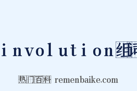 involution组词是什么意思的图片